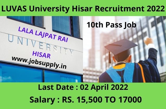 Luvas University Hisar Recruitment 2022