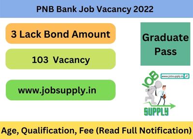 PNB Bank Job Vacancy 2022